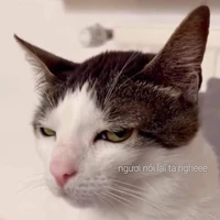 Tác giả depzaivailozzz🤯