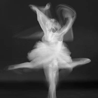 t.giả bị khùng=))