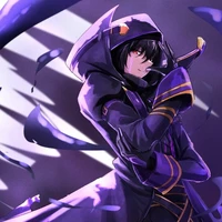 Cid[shadow]