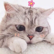 Tác giả cute đây ❤️