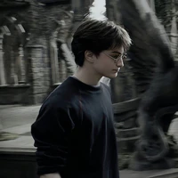 Harry Potter⚡