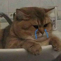 tác giả