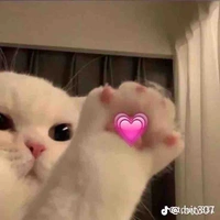 Tác giả hiền dịu