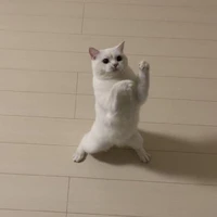 hệ thống cư tê :33