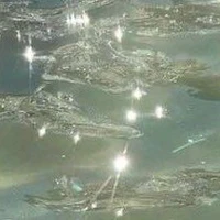 𝙈𝙊𝙏𝙃𝙀𝙍