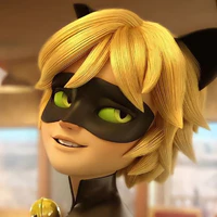 Chat noir