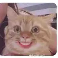 ？？？