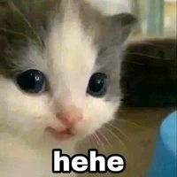 TG