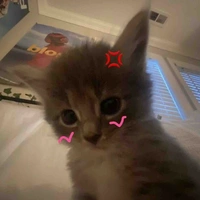 zii ngáo😔💔