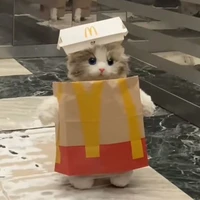 con đũy tác giả