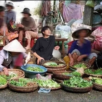 Văn sĩ 