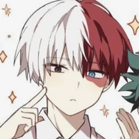 Todoroki Shoto