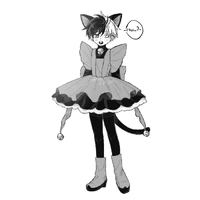 Kaito (HT552)