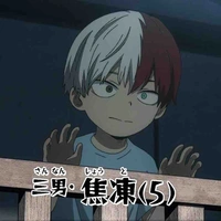Todoroki Shouto