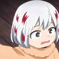 Todoroki Fuyumi