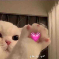 T/g bị suyy