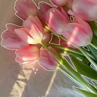 Tynh là tớ day🌷