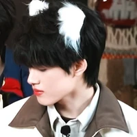 Trương Cực