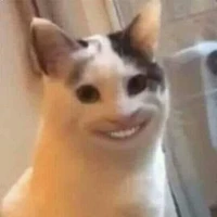 t/g