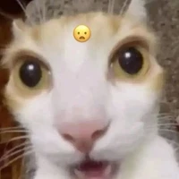 •hệ thống tiểu thuyết •