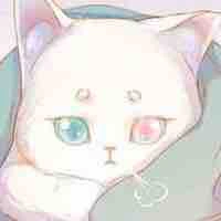 Meo meo [ Mikko ]