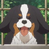 Kuma