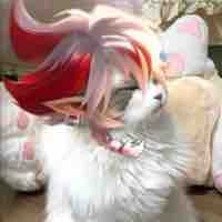 Khỉ đập 🧊( Bảo )