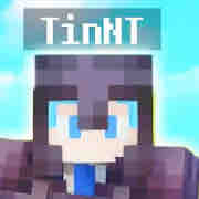 TinNT