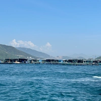 /nhân vật tổng hợp/