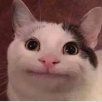 cáo vtree