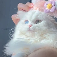 Những Người Còn Lại