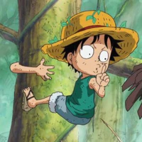 Monkey D Luffy