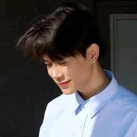 Bùi Anh Tú