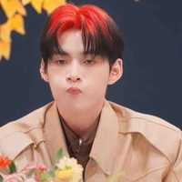 Hùng huỳnh gemini