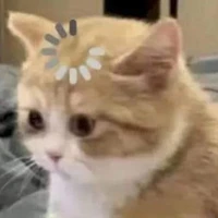t/g