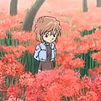 haibara
