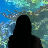 Ngô Tiểu An [ mẹ nam9 ]