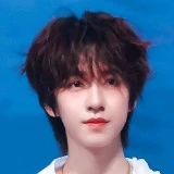 Hạ Tuấn Lâm