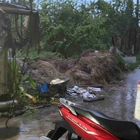 cả hai