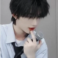 Đinh Trình Hâm(Đinh đại ca)