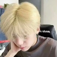Tô Việt Tú