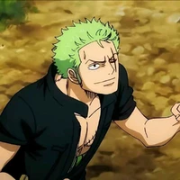 zoronoa zoro