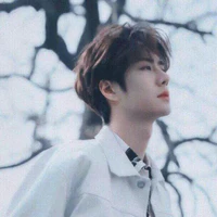 Vương Nhất Bác (anh)