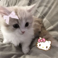 Tgia