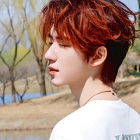 Hạ Tuấn Lâm