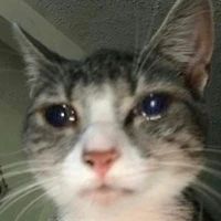 Mẫn=))