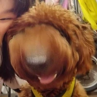 Cả lớp ??/?