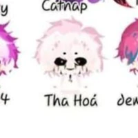 hiha tha hoá
