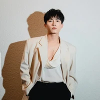 Anh Tú (voi)