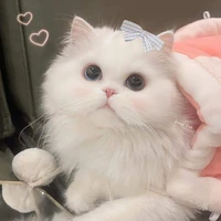 bảo bảo (hệ thống cấp SSS+)